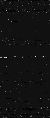 MTVZA-17.png
